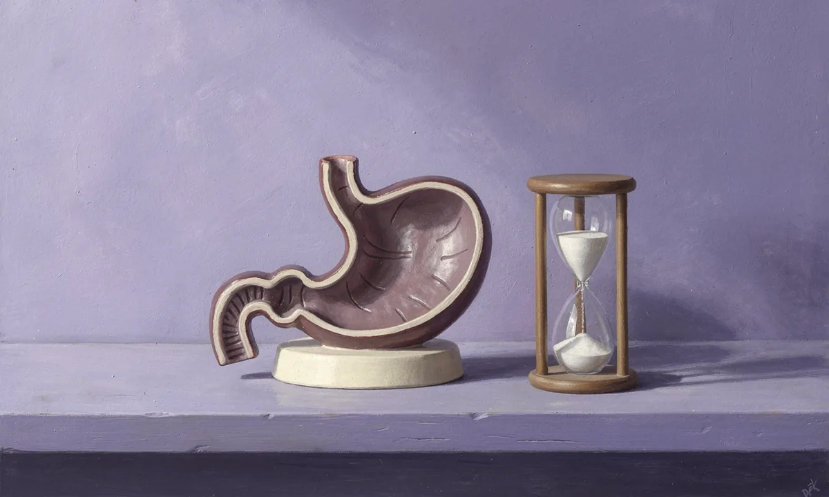 An illustrated teaching model of a stomach stands beside an hourglass on a lavender shelf